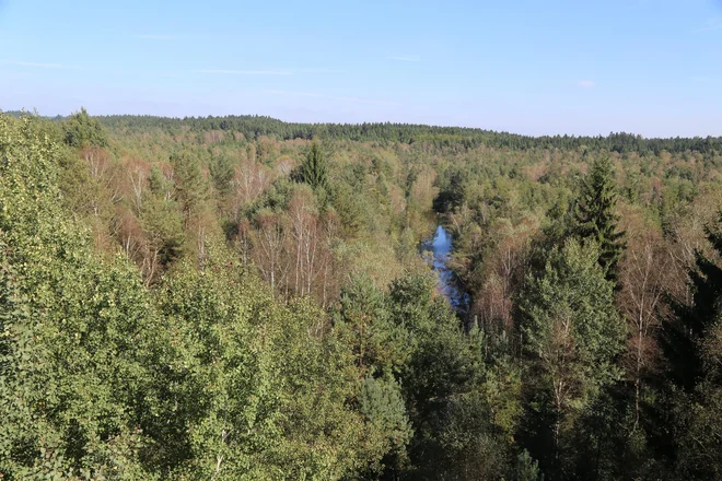 Waldviertel je ohranil neokrnjeno podobo regije, ki ni niti preveč urbanizirana niti industrializirana. FOTO: Milan Ilić