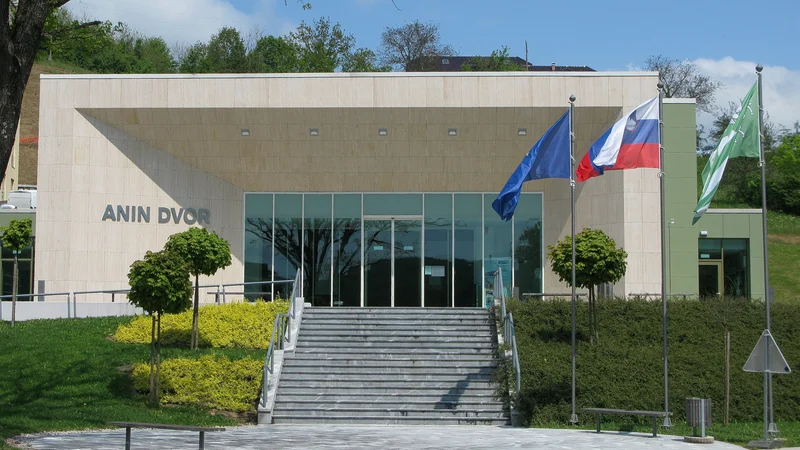 Fotografija: Grafična zbirka je danes shranjena v Aninem dvoru, a kot ugotavljajo na ministrstvu za kulturo, so prostori hranjenja neustrezni, zbirka nima skrbnika, zaradi česar je tudi nadzor nad stanjem zbirke neustrezen. FOTO: Špela Kuralt/Delo