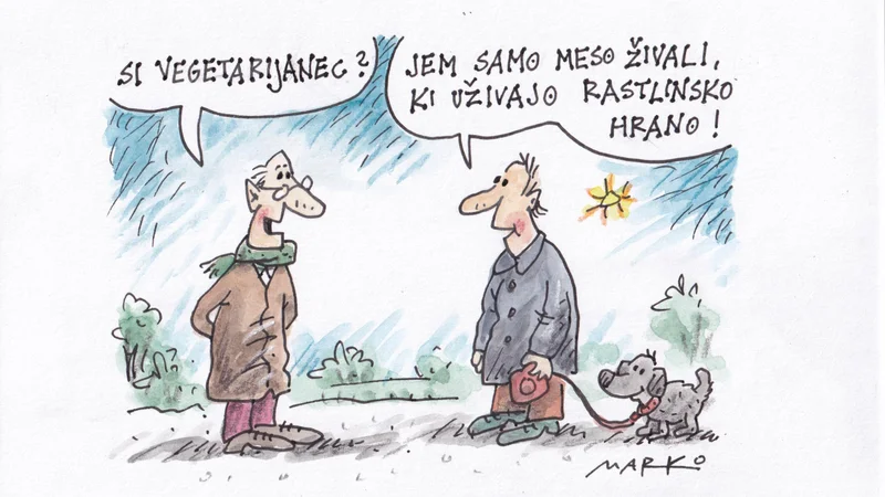 Fotografija: Karikatura Marko Kočevar
