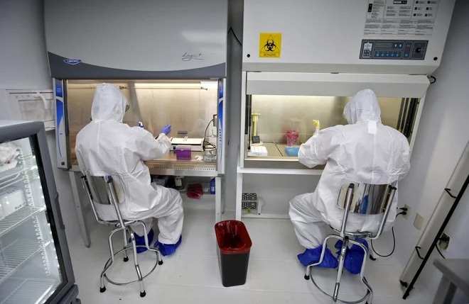 Pfizer pri pripravi cepiva za gripo nadgradili in začeli v pol leta množično proizvajati izjemno učinkovito cepivo proti covidu-19. FOTO: Ulises Ruiz/AFP