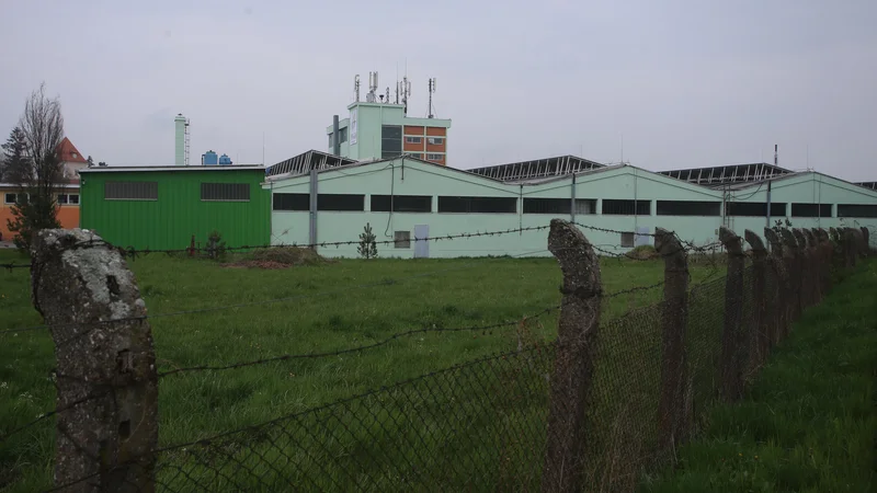 Fotografija: Ko je Albaughov predhodnik Pinus ugašal, bi ga morali po zakonu ugasniti, pravijo v Rovu. FOTO: Tadej Regent/Delo