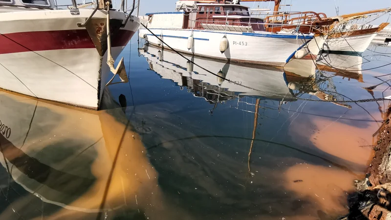 Fotografija: Oranžnordeče lise v morju niso posledica onesnaženja, pač pa pomladnega bohotenja zooplanktona – morske iskrnice (Noctiluca scintillans). Veliko bolj v skrbeh so ribiči zaradi velikih morskih klobučnjakov. FOTO: Boris Šuligoj/Delo