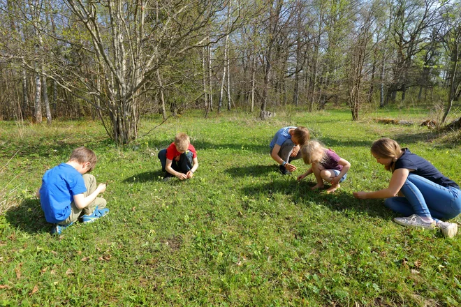 Ko najdete primeren kraj, začnite izpolnjevati vprašalnik. Pametni telefon samodejno določi vašo lokacijo, če pa te možnosti nimate, jo v obrazec zapišite ročno. Poskusite določiti, koliko pomladanskih jegličev je na kraju. FOTO: Kaarel Kaisel