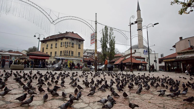 Fotografija: FOTO: Jože Suhadolnik/Delo