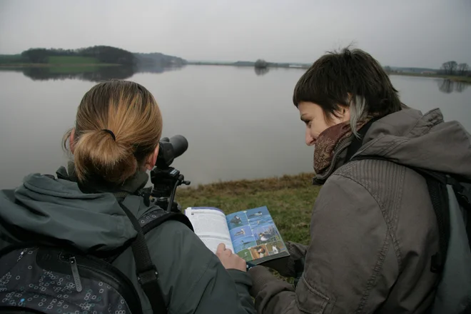 Prostovoljci lahko pridobivajo informacije o onesnaževanju okolja, posnetke na tisoče rastlinskih in živalskih vrst, pregledujejo posnetke astronomskih teleskopov in še marsikaj drugega. FOTO: Jože Pojbič