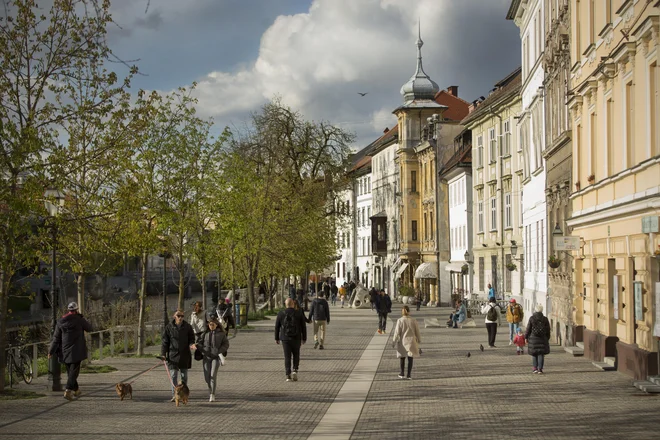 Letošnji april je postregel z vsem: snegom, mrazom in zelo sončnimi dnevi (fotografija na 14. april 2021). FOTO: Jure Eržen/Delo