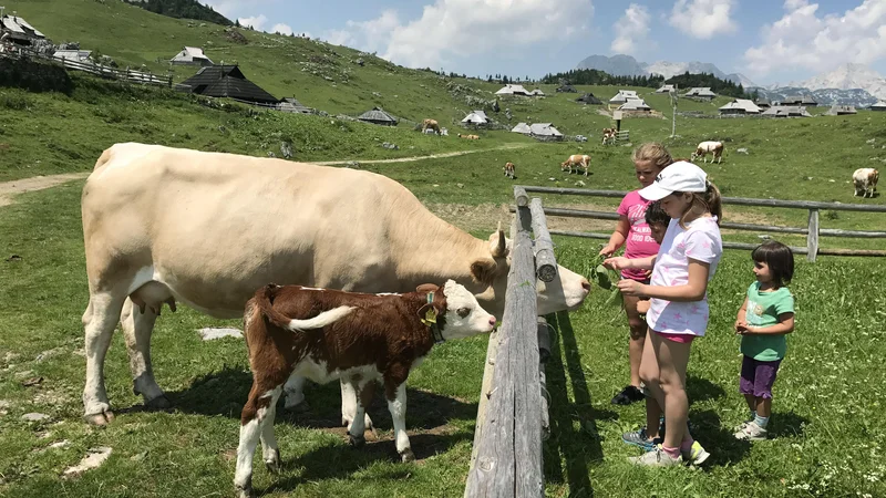 Fotografija: Otroci naj se razvijajo brez odvisnosti od spletnih omrežij in spletnega nasilja. FOTO: Leon Vidic/Delo