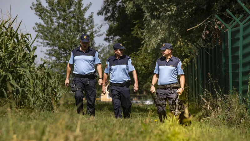 Fotografija: Patrulje slovenskih policistov na reki Kolpi. FOTO: Voranc Vogel/Delo