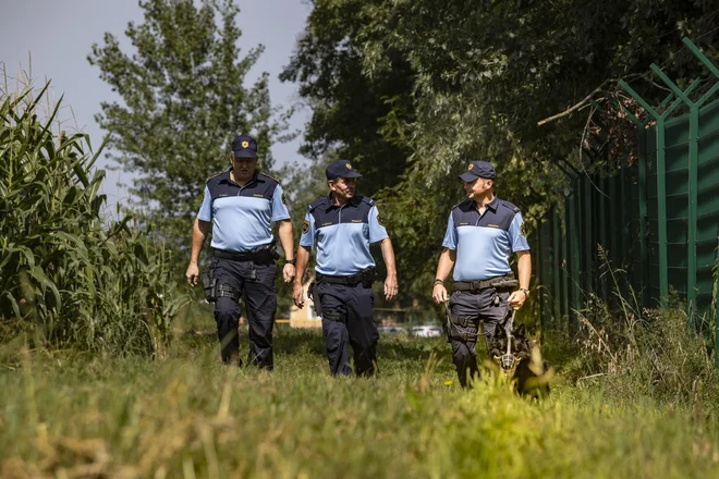 Patrulje slovenskih policistov na reki Kolpi. FOTO: Voranc Vogel/Delo