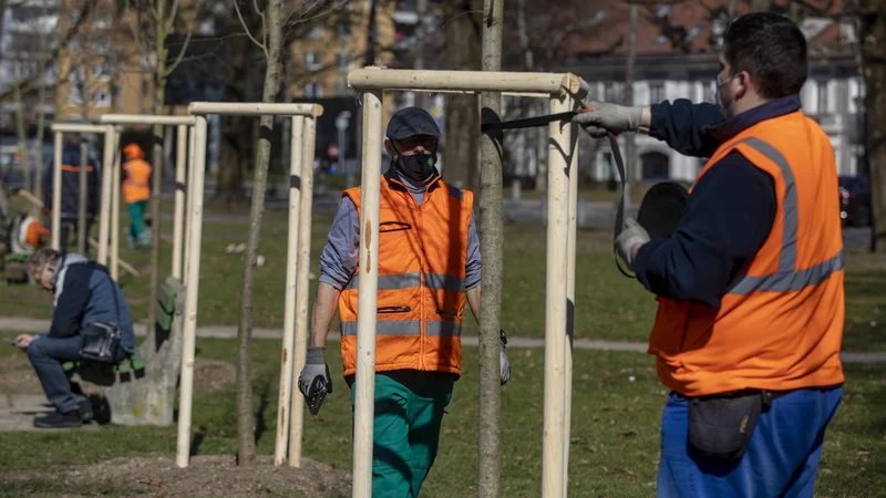 Fotografija: Delovna sila v krizi zaradi koronavirusa. INFOGRAFIKA: Delo