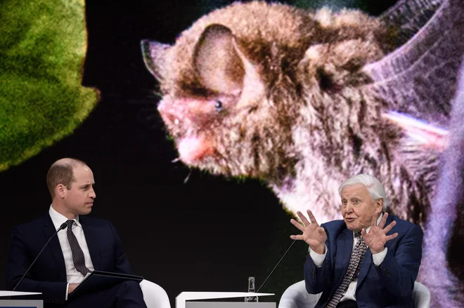 David Attenborough je tesno povezan z britansko kraljevo družino. Na fotografiji s prestolonaslednikom princem Williamom. FOTO: Fabrice Coffrini/Afp