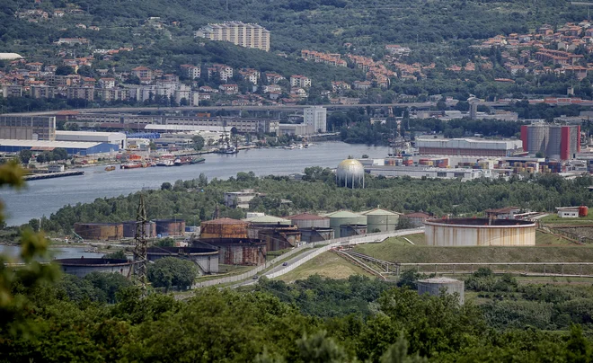 Zemljišče med Trstom in Miljami, ki ga bodo Madžari morali še urediti. FOTO: Blaž Samec