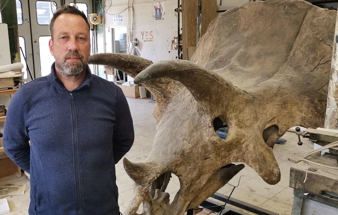 Tomaž Starc iz Godenj na Krasu je eden ključnih sodelavcev prodajalcev dinozavrov iz Trsta. FOTO: Boris Šuligoj