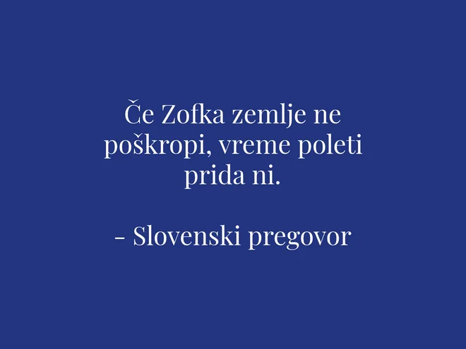 Sobotna iskrica dneva. FOTO: Delo