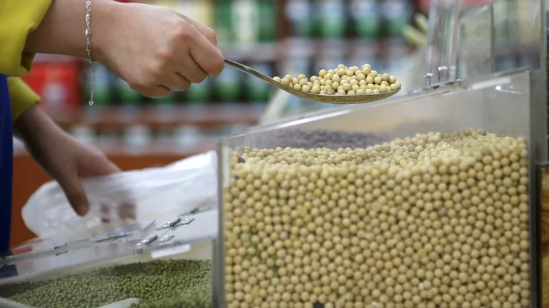 Fotografija: Podaljšali so se tranzitni časi, močno je poskočila cena ladijskih prevozov. FOTO: Darley Shen/Reuters