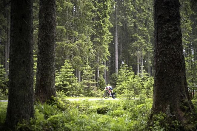 FOTO: Uroš Hočevar/Delo