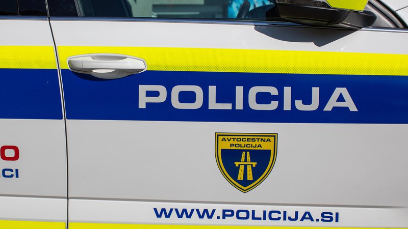 Fotografija: Policisti bodo voznika osebnega vozila kazensko ovadili. FOTO: Voranc Vogel/Delo