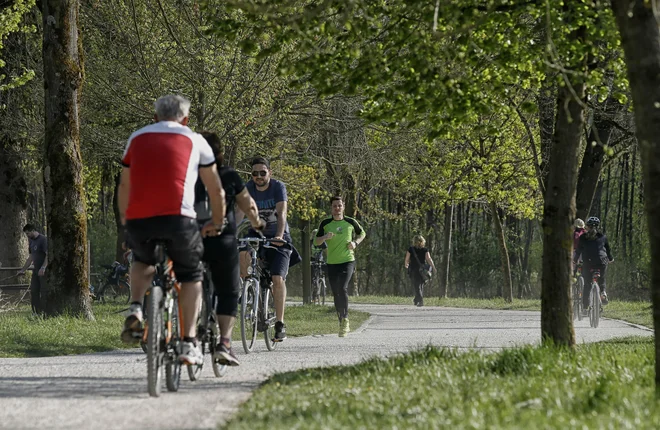FOTO: Blaž Samec/Delo
