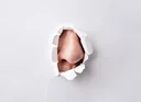 image_alt