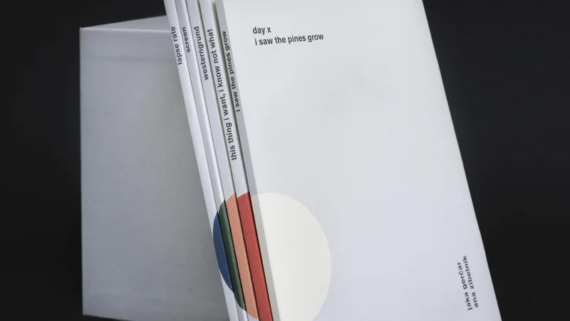 Fotografija: Med letoma 2016 in 2019 je pet fotografov in pet pisateljev k zbirki Day X prispevalo svojevrstne portrete in prereze dni. FOTO: Ana Zibelnik/Paper Tiger Books