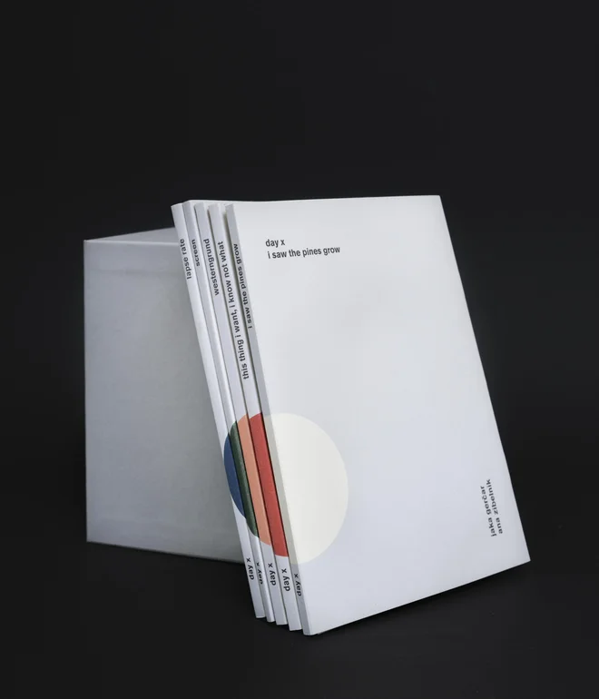 Med letoma 2016 in 2019 je pet fotografov in pet pisateljev k zbirki <em>Day X</em> prispevalo svojevrstne portrete in prereze dni. FOTO: Ana Zibelnik/Paper Tiger Books