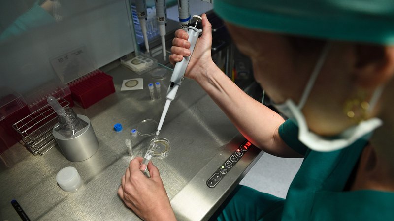 Fotografija: Pacientkam iz Postojne bodo postopke umetne oploditve izvajali na ljubljanski ginekološki kliniki. ZC Dravlje bo ostal brez dela, v katero so vložili več kot 20 let truda. FOTO: AFP