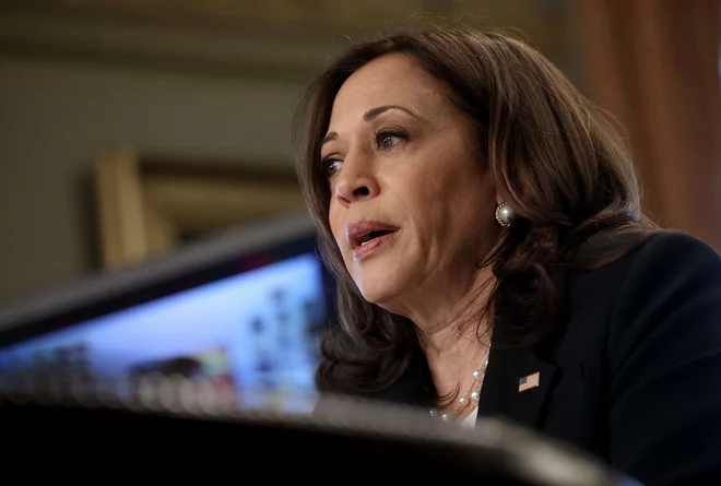 Svoje dohodke je predsatavila tudi podpredsednica Kamala Harris z možem Dougom Emhoffom. FOTO: Win Mcnamee/AFP