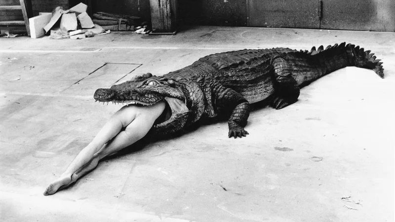 Fotografija: Krokodil, Wuppertal, 1983 © Foto Helmut Newton, Helmut Newton Estate/Courtesy Helmut Newton Foundation
