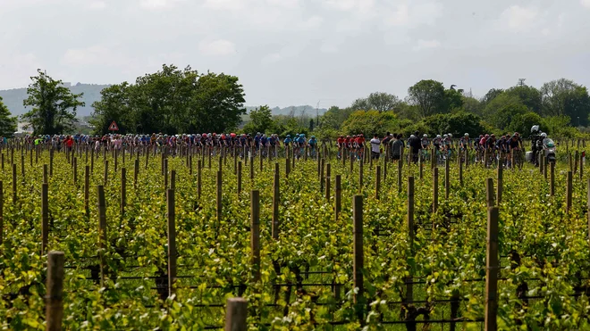 Karavana se je skozi vinograde odpeljala proti Sloveniji. FOTO: Luca Bettini/AFP