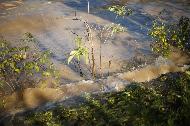 Narasla reka Drava v Dravogradu. Fotografija je simbolična. FOTO: Jure Eržen/Delo