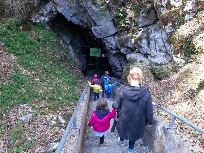 Vhod v krasote dolenjskega kraškega podzemlja FOTO: Mitja Felc/Delo