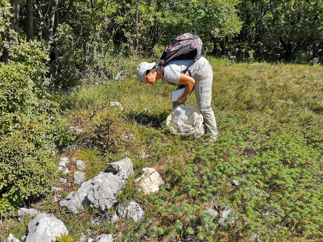 Tatjana Čelik Foto Osebni Arhiv