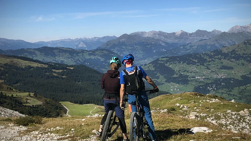 Fotografija: Ko izpustimo en teden, se to hitro potegne še v naslednji teden in morda še v naslednjega in tako naprej ... FOTO: Jure Eržen/Delo