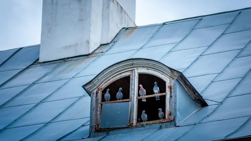 Fotografija: Za ideološkim in kulturnim bojem se skriva sebičnost vladajoče generacije. Foto Shutterstock
