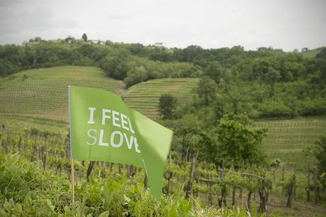 Ker smo Slovenci unovčili komaj tretjino vseh vavčerjev, ki jih je predvidela država, se je turistična panoga že lani jeseni zavzemala za izdajo novih bonov v letošnjem letu. FOTO: Jure Eržen/Delo