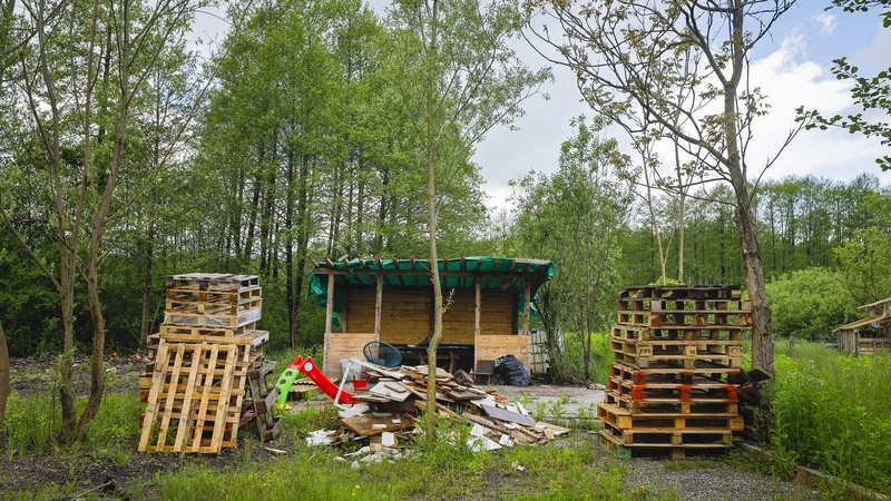 Fotografija: Blizu mestnih vrtičkov Rakova Jelša rastejo tudi zasebni. FOTO: Jože Suhadolnik/Delo