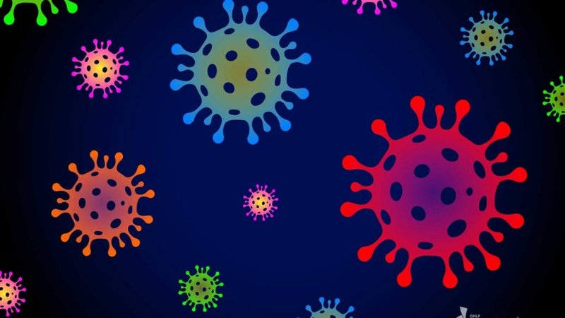 Fotografija: Različne mutacije koronavirusa so bile doslej poimenovane po kraju, kjer so jih prvič odkrili, čeprav ni rečeno, da od tam tudi izvirajo. FOTO:Shutterstock