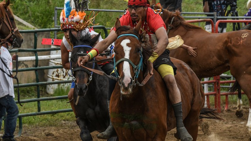 Fotografija: Jezdenje brez sedla je lahko precej nevarno, še posebej v galopu, ko konji tečejo zelo hitro. FOTO: Stephanie Keith/Reuters