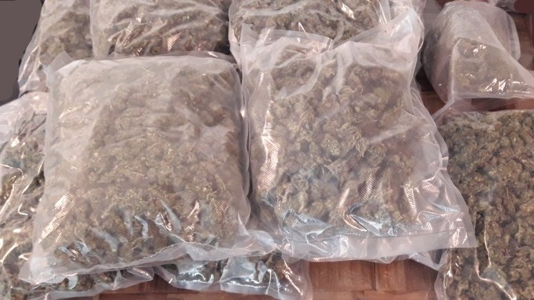 Fotografija: Zasegli so več kilogramov prepovedanih drog. FOTO: PU Nova Gorica