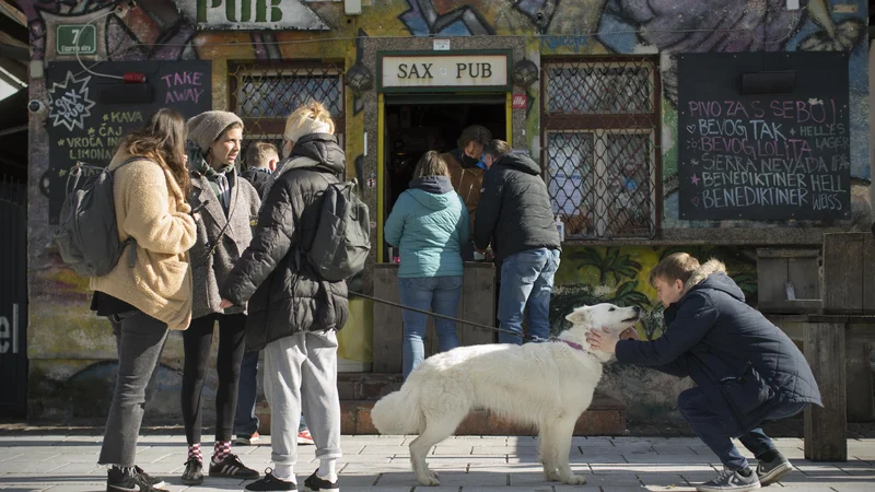 Fotografija: FOTO: Jure Eržen/Delo