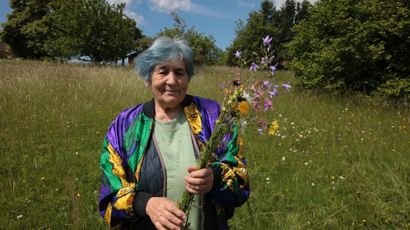 Fotografija: Angela Novak pozna in ljubi cvetoče travnike že od otroštva. Foto: Jože Pojbič/Delo