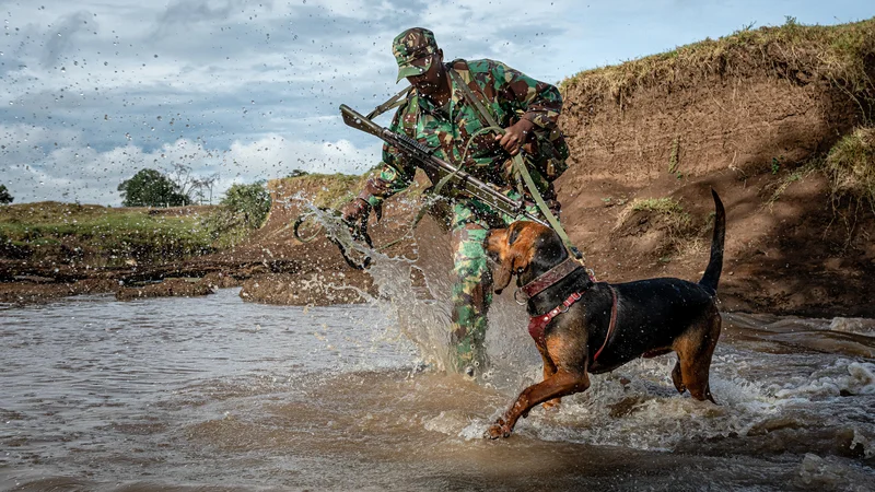 Fotografija: Posebna zasledovalna rangerska enota med patruljo. FOTO: Matjaž Krivic