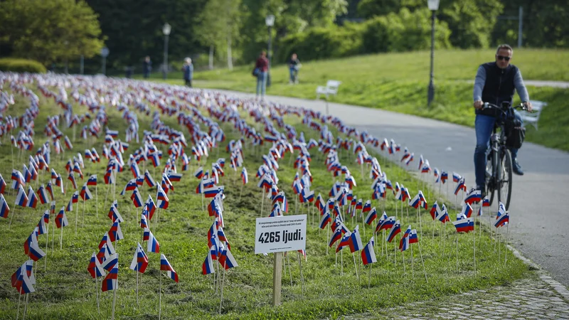 Fotografija: Zastavice, ki simbolizirajo žrtve koronavirusa po tem, ko so letala zveze Nato preletela Slovenijo in razglasila zmago nad koronavirusom. FOTO: Jože Suhadolnik / Delo