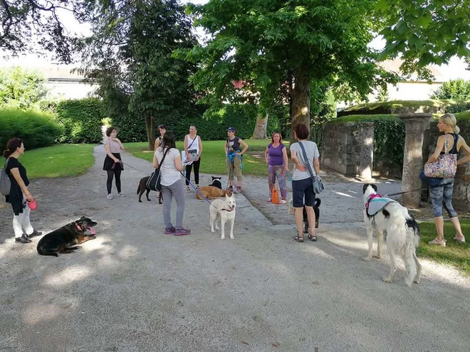 Hišne živali so po veljavnem zakonu »psi, domače mačke, sobne ptice, mali glodavci, terarijske, akvarijske in druge živali, ki so namenjene za družbo, varstvo ali pomoč človeku«. FOTO: Andrej Peunik
