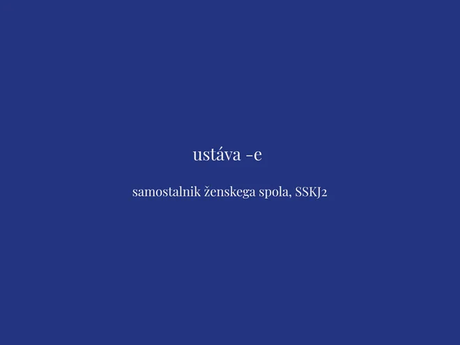 Tokratna beseda tedna je ustava. FOTO: Delo