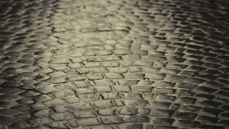 Fotografija: Prežeči vzorec. FOTO: Shutterstock