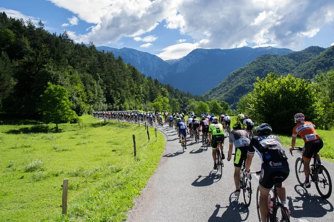 Trasa Maratona Alpe velja za eno najlepših v Sloveniji. FOTO: Maraton Alpe Scott