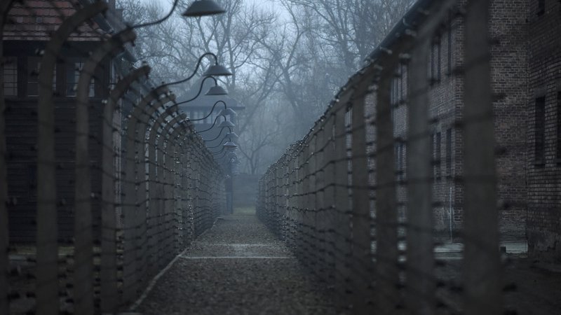Fotografija: »Ko smo dosegli Auschwitz, smo zagledali ograjo in vse nemočne ljudi. Ograjo smo podrli s tanki, zapornikom pa dali hrano in zatem nadaljevali pot,« je Dushman opisal prihod Rdeče armade. FOTO: Pawel Ulatowski/Reuters
