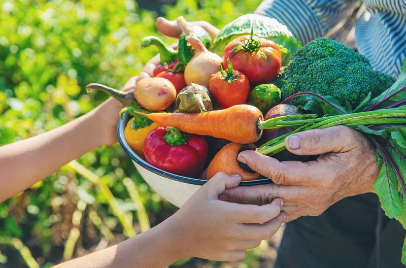 Fotografija: "Ekološka zelenjava in sadje, ki sta bila dan prej nabrana pri lokalnem kmetu, danes pa sta že na našem krožniku, sta bolj polnega okusa."  FOTO: Getty Images