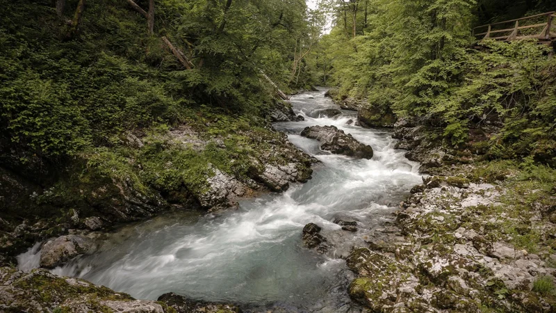 Fotografija: Dober poldrugi kilometer dolga soteska Vintgar je zarezana med stenami hribov Homa in Boršta, krasi pa jo Radovna s slapovi, tolmuni in brzicami. FOTO: Uroš Hočevar/Delo